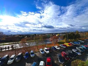 Pronájem bytu 1+kk, Praha, Milánská, 45 m2