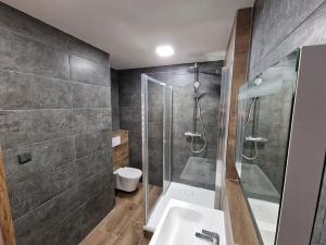 Pronájem bytu 2+1, Děčín, Plavební, 56 m2