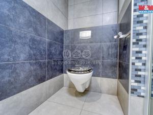 Pronájem bytu 2+kk, Plzeň - Bolevec, U Velkého rybníka, 49 m2