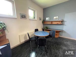 Pronájem obchodního prostoru, Uherský Brod, Stolařská, 368 m2