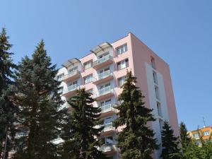 Pronájem bytu 2+kk, České Budějovice - České Budějovice 3, Puklicova, 36 m2