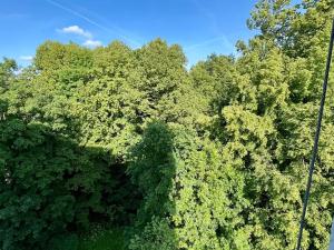 Pronájem bytu 3+1, Frýdlant, Bělíkova, 72 m2