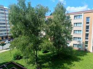 Pronájem bytu 1+kk, Hradec Králové, Severní, 21 m2