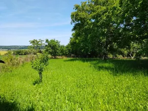 Prodej chalupy, Starkoč, 90 m2