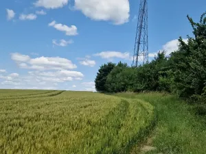 Prodej pole, Bílá Lhota, 1851 m2
