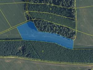 Prodej louky, Vilantice, 145881 m2
