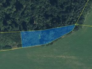 Prodej louky, Vilantice, 145881 m2