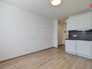 Pronájem bytu 1+kk, Praha - Vršovice, Kubánské náměstí, 19 m2