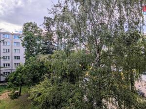 Pronájem bytu 1+kk, Praha - Vršovice, Kubánské náměstí, 19 m2