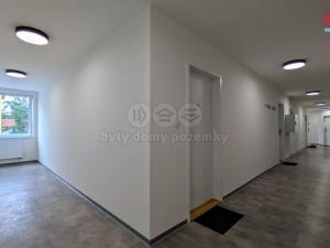 Pronájem bytu 1+kk, Praha - Vršovice, Kubánské náměstí, 19 m2