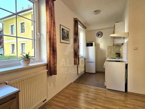 Pronájem bytu 1+kk, Dobrá Voda u Českých Budějovic, Lázeňská, 29 m2