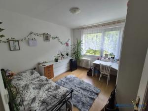 Pronájem bytu 4+1, Náchod, Běloveská, 79 m2