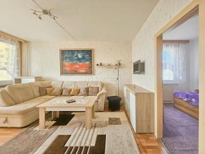 Pronájem bytu 3+1, Plzeň, Elišky Krásnohorské, 68 m2