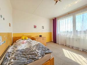 Pronájem bytu 3+1, Plzeň, Elišky Krásnohorské, 68 m2