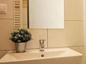 Pronájem bytu 1+kk, Brno, Koliště, 24 m2
