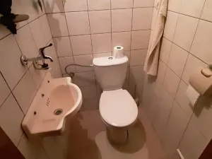 Pronájem bytu 1+kk, Prostějov, Vrahovická, 60 m2