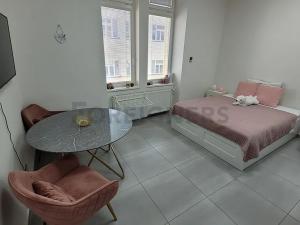 Pronájem bytu 1+kk, Brno, Jakubské náměstí, 30 m2
