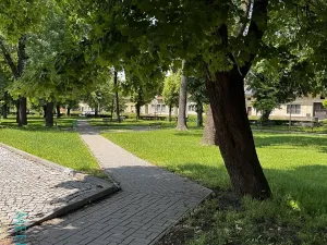 Prodej rodinného domu, Kojetín, Husova, 212 m2