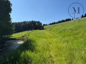 Prodej pozemku pro bydlení, Rožmberk nad Vltavou, 41251 m2