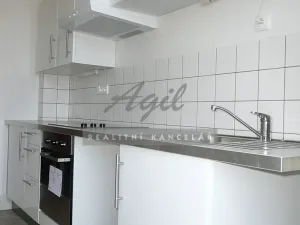 Pronájem bytu 4+kk, Brno, 120 m2