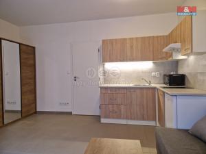 Pronájem bytu 1+kk, Milovice - Mladá, Armádní, 23 m2