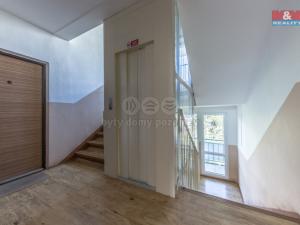 Pronájem bytu 1+1, Děčín, U Tvrze, 36 m2