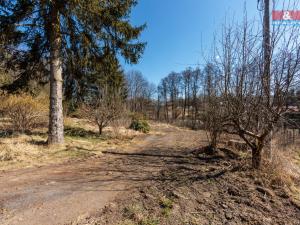 Prodej pozemku pro bydlení, Sadov - Bor, 1277 m2