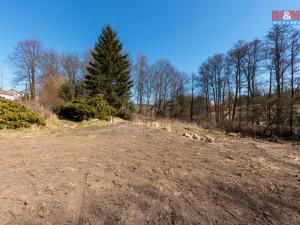 Prodej pozemku pro bydlení, Sadov - Bor, 1277 m2