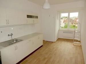 Pronájem bytu 1+1, Brno, Palackého třída, 55 m2