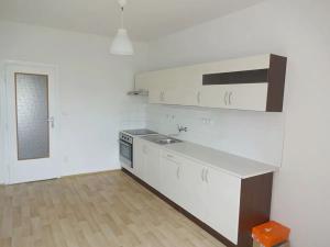 Pronájem bytu 1+1, Brno, Palackého třída, 55 m2