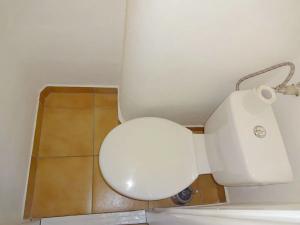 Pronájem bytu 1+1, Brno, Palackého třída, 55 m2
