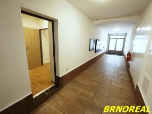 Pronájem bytu 1+kk, Brno, Hybešova, 20 m2