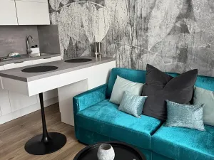 Pronájem bytu 1+kk, Písek, Vladislavova, 20 m2