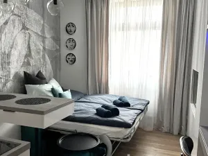 Pronájem bytu 1+kk, Písek, Vladislavova, 20 m2