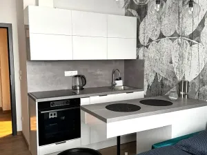 Pronájem bytu 1+kk, Písek, Vladislavova, 20 m2