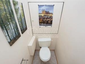 Pronájem bytu 1+kk, Praha - Smíchov, Štefánikova, 39 m2