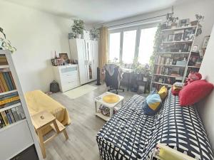 Pronájem bytu 1+kk, Brno, Tábor, 40 m2