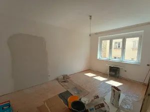 Prodej bytu 1+1, Praha - Nusle, U družstva Ideál, 55 m2