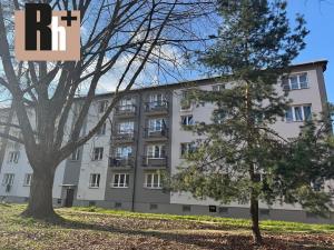 Pronájem bytu 1+1, Ostrava, Svazácká, 36 m2