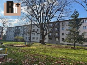 Pronájem bytu 1+1, Ostrava, Svazácká, 36 m2