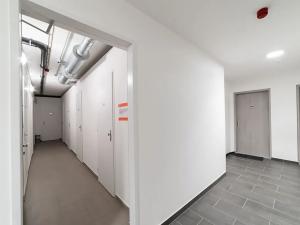 Pronájem bytu 2+kk, Praha - Hloubětín, Poděbradská, 55 m2