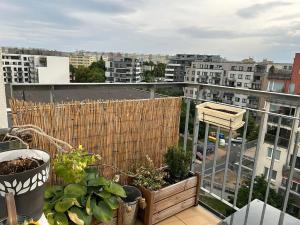 Pronájem bytu 1+kk, Praha - Střížkov, Zakšínská, 42 m2