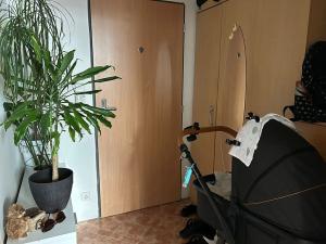 Pronájem bytu 1+kk, Praha - Střížkov, Zakšínská, 42 m2