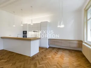 Pronájem bytu 2+kk, Praha - Josefov, Maiselova, 90 m2
