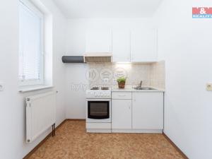 Prodej bytu 1+kk, Jiřice, 37 m2