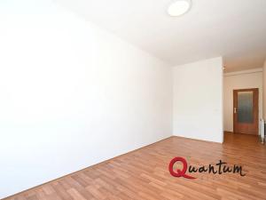 Pronájem bytu 1+kk, Otvovice, 30 m2