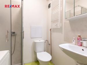 Prodej bytu 1+1, Praha - Strašnice, U hráze, 30 m2