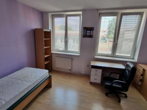 Pronájem bytu 3+kk, Břeclav, Šilingrova, 80 m2