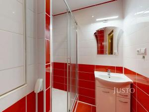 Pronájem bytu 2+kk, České Budějovice, N. Frýda, 46 m2
