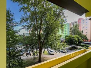 Pronájem bytu 2+kk, České Budějovice, N. Frýda, 46 m2